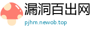 漏洞百出网